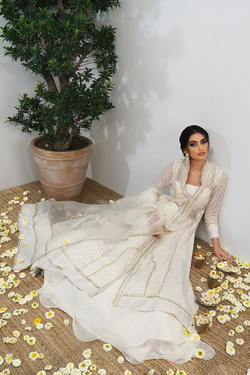 Luxe Edit '23 - Lakhnavi With Gown